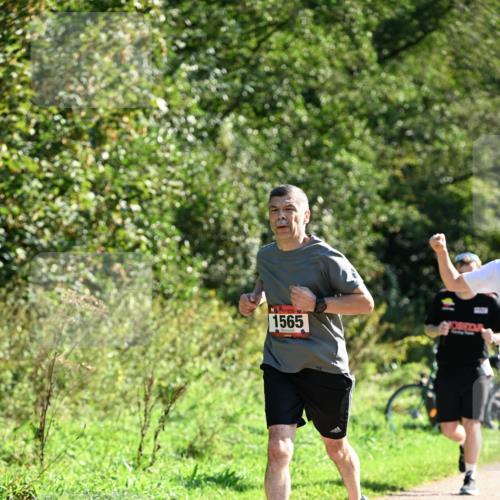 27.09.2026 - 35. Volkslauf durch das schöne Alstertal Dr. Thomas Lammeyer http://msf.ph/oto/10577341 27.09.2026 11:52:12 Laufen 1565 meine-sportfotos.de