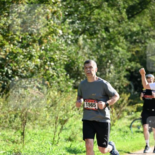 27.09.2026 - 35. Volkslauf durch das schöne Alstertal Dr. Thomas Lammeyer http://msf.ph/oto/10577343 27.09.2026 11:52:12 Laufen 1565 meine-sportfotos.de