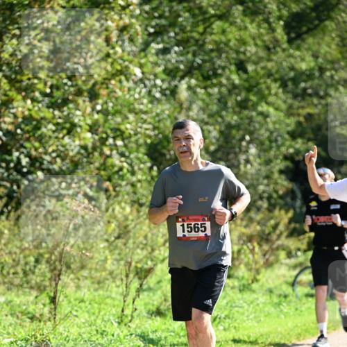 27.09.2026 - 35. Volkslauf durch das schöne Alstertal Dr. Thomas Lammeyer http://msf.ph/oto/10577345 27.09.2026 11:52:12 Laufen 1565 meine-sportfotos.de