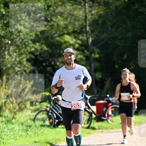 27.09.2026 - 35. Volkslauf durch das schöne Alstertal Dr. Thomas Lammeyer http://msf.ph/oto/10577369 27.09.2026 11:52:31 Laufen 203 meine-sportfotos.de