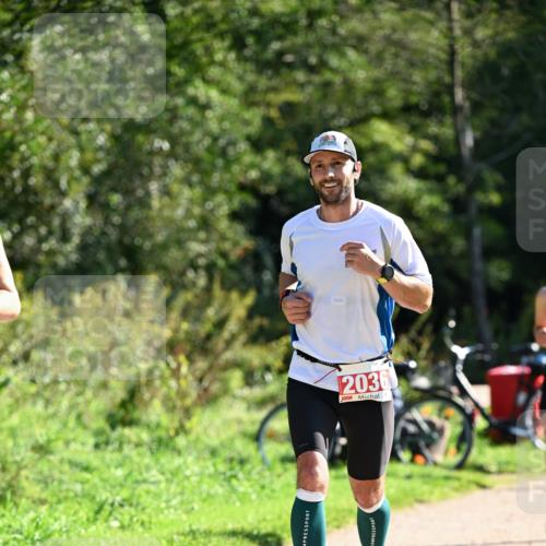 27.09.2026 - 35. Volkslauf durch das schöne Alstertal Dr. Thomas Lammeyer http://msf.ph/oto/10577374 27.09.2026 11:52:31 Laufen 2036 meine-sportfotos.de