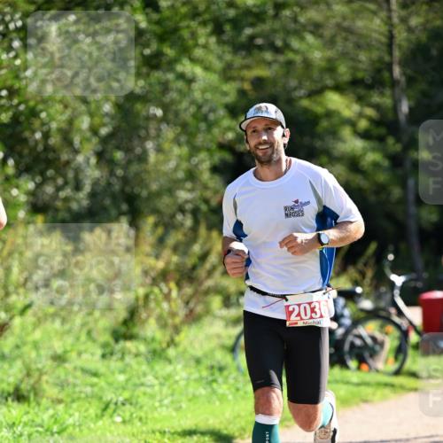 27.09.2026 - 35. Volkslauf durch das schöne Alstertal Dr. Thomas Lammeyer http://msf.ph/oto/10577375 27.09.2026 11:52:32 Laufen 2036 meine-sportfotos.de