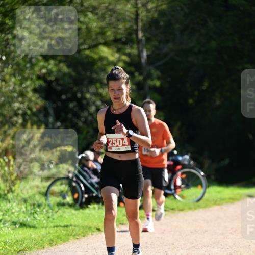 27.09.2026 - 35. Volkslauf durch das schöne Alstertal Dr. Thomas Lammeyer http://msf.ph/oto/10577379 27.09.2026 11:52:33 Laufen 2504 meine-sportfotos.de