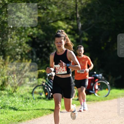 27.09.2026 - 35. Volkslauf durch das schöne Alstertal Dr. Thomas Lammeyer http://msf.ph/oto/10577382 27.09.2026 11:52:33 Laufen 2504 meine-sportfotos.de