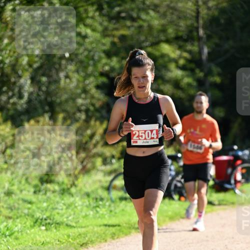 27.09.2026 - 35. Volkslauf durch das schöne Alstertal Dr. Thomas Lammeyer http://msf.ph/oto/10577384 27.09.2026 11:52:33 Laufen 2504, 1666 meine-sportfotos.de