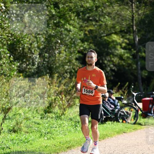 27.09.2026 - 35. Volkslauf durch das schöne Alstertal Dr. Thomas Lammeyer http://msf.ph/oto/10577385 27.09.2026 11:52:35 Laufen 1586 meine-sportfotos.de