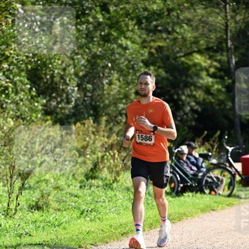 27.09.2026 - 35. Volkslauf durch das schöne Alstertal Dr. Thomas Lammeyer http://msf.ph/oto/10577386 27.09.2026 11:52:35 Laufen 1586 meine-sportfotos.de