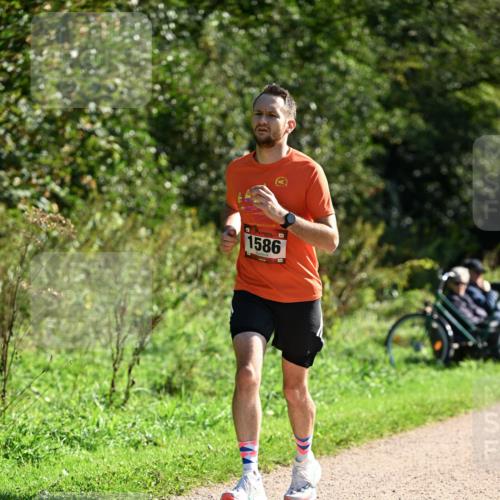 27.09.2026 - 35. Volkslauf durch das schöne Alstertal Dr. Thomas Lammeyer http://msf.ph/oto/10577393 27.09.2026 11:52:35 Laufen 1586 meine-sportfotos.de