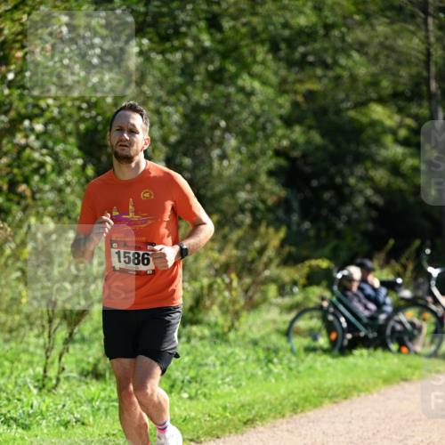 27.09.2026 - 35. Volkslauf durch das schöne Alstertal Dr. Thomas Lammeyer http://msf.ph/oto/10577397 27.09.2026 11:52:36 Laufen 1586 meine-sportfotos.de