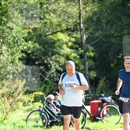 27.09.2026 - 35. Volkslauf durch das schöne Alstertal Dr. Thomas Lammeyer http://msf.ph/oto/10577425 27.09.2026 11:52:54 Laufen 31, 5 meine-sportfotos.de