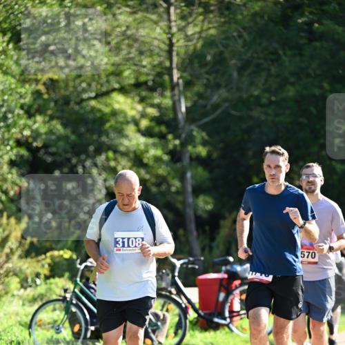 27.09.2026 - 35. Volkslauf durch das schöne Alstertal Dr. Thomas Lammeyer http://msf.ph/oto/10577431 27.09.2026 11:52:54 Laufen 3108, 570 meine-sportfotos.de