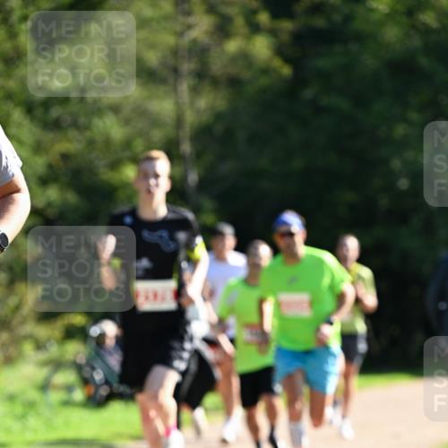 27.09.2026 - 35. Volkslauf durch das schöne Alstertal Dr. Thomas Lammeyer http://msf.ph/oto/10577453 27.09.2026 11:52:59 Laufen  meine-sportfotos.de