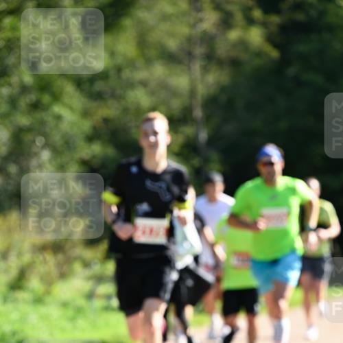 27.09.2026 - 35. Volkslauf durch das schöne Alstertal Dr. Thomas Lammeyer http://msf.ph/oto/10577455 27.09.2026 11:52:59 Laufen  meine-sportfotos.de