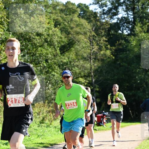 27.09.2026 - 35. Volkslauf durch das schöne Alstertal Dr. Thomas Lammeyer http://msf.ph/oto/10577463 27.09.2026 11:53:00 Laufen 2178, 2324 meine-sportfotos.de