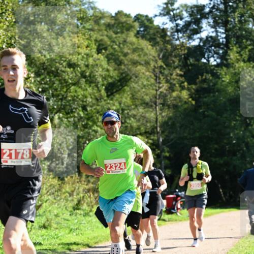27.09.2026 - 35. Volkslauf durch das schöne Alstertal Dr. Thomas Lammeyer http://msf.ph/oto/10577464 27.09.2026 11:53:00 Laufen 2178, 2324 meine-sportfotos.de