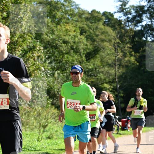 27.09.2026 - 35. Volkslauf durch das schöne Alstertal Dr. Thomas Lammeyer http://msf.ph/oto/10577468 27.09.2026 11:53:01 Laufen 78, 2324, 589 meine-sportfotos.de