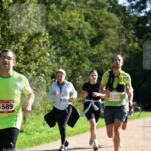 27.09.2026 - 35. Volkslauf durch das schöne Alstertal Dr. Thomas Lammeyer http://msf.ph/oto/10577473 27.09.2026 11:53:02 Laufen 1589, 2950, 3101 meine-sportfotos.de
