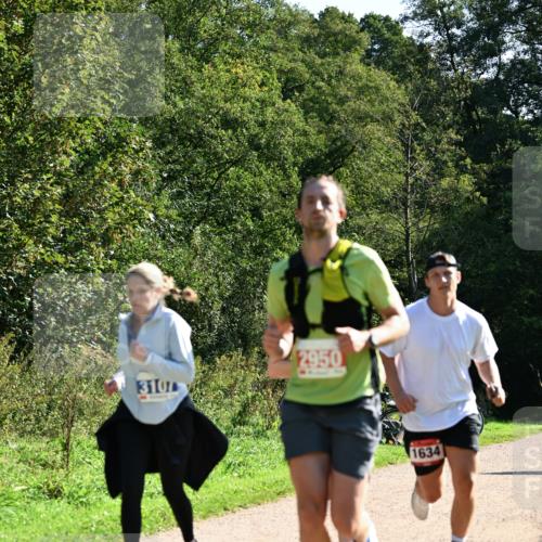 27.09.2026 - 35. Volkslauf durch das schöne Alstertal Dr. Thomas Lammeyer http://msf.ph/oto/10577477 27.09.2026 11:53:02 Laufen 3107, 2950, 1634 meine-sportfotos.de