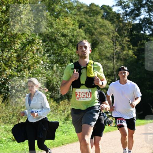 27.09.2026 - 35. Volkslauf durch das schöne Alstertal Dr. Thomas Lammeyer http://msf.ph/oto/10577478 27.09.2026 11:53:03 Laufen 2950, 1634 meine-sportfotos.de