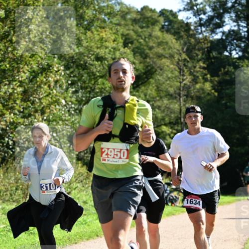 27.09.2026 - 35. Volkslauf durch das schöne Alstertal Dr. Thomas Lammeyer http://msf.ph/oto/10577479 27.09.2026 11:53:03 Laufen 310, 2950, 1634 meine-sportfotos.de