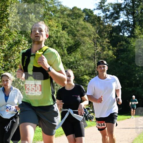 27.09.2026 - 35. Volkslauf durch das schöne Alstertal Dr. Thomas Lammeyer http://msf.ph/oto/10577481 27.09.2026 11:53:03 Laufen 13107, 2950, 1634 meine-sportfotos.de