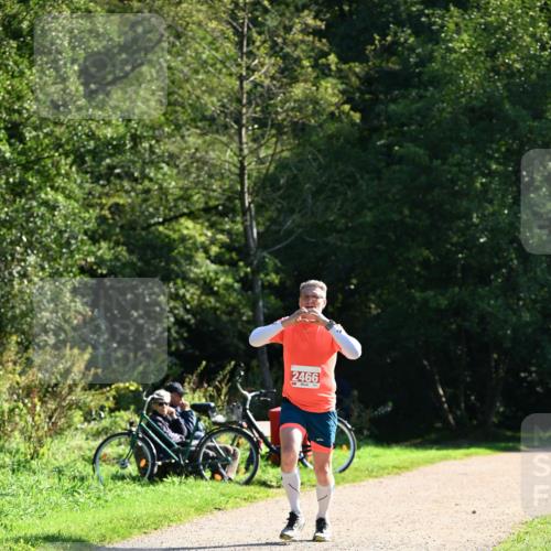 27.09.2026 - 35. Volkslauf durch das schöne Alstertal Dr. Thomas Lammeyer http://msf.ph/oto/10577520 27.09.2026 11:53:31 Laufen 2466 meine-sportfotos.de