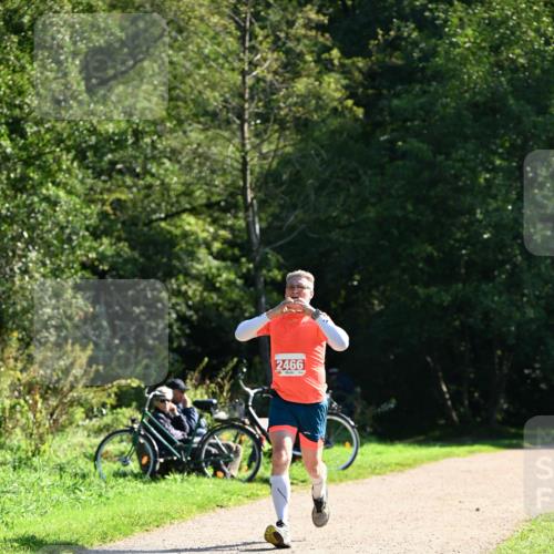 27.09.2026 - 35. Volkslauf durch das schöne Alstertal Dr. Thomas Lammeyer http://msf.ph/oto/10577521 27.09.2026 11:53:31 Laufen 2466 meine-sportfotos.de