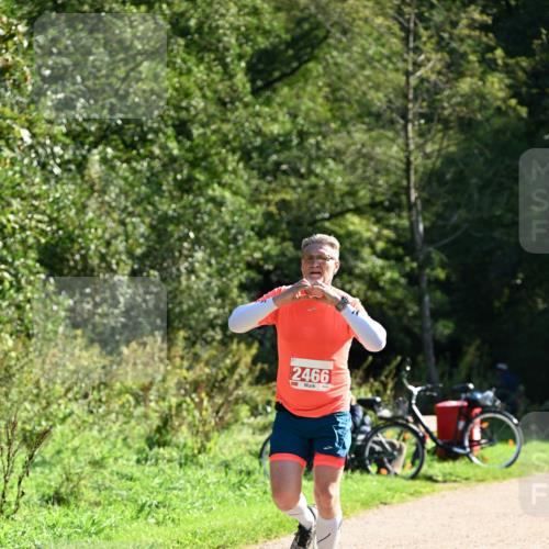 27.09.2026 - 35. Volkslauf durch das schöne Alstertal Dr. Thomas Lammeyer http://msf.ph/oto/10577524 27.09.2026 11:53:32 Laufen 2466 meine-sportfotos.de