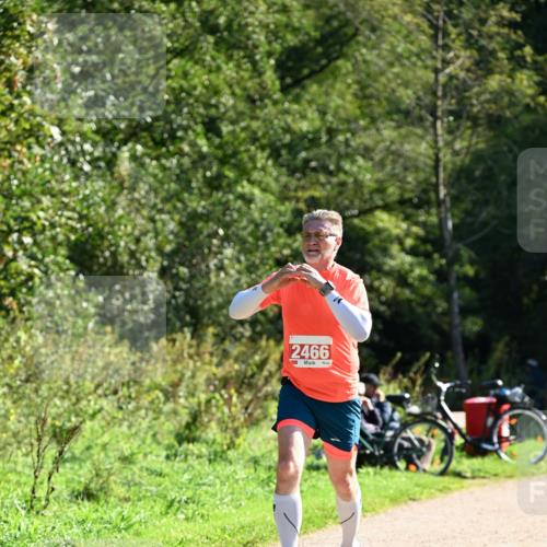 27.09.2026 - 35. Volkslauf durch das schöne Alstertal Dr. Thomas Lammeyer http://msf.ph/oto/10577525 27.09.2026 11:53:32 Laufen 2466 meine-sportfotos.de