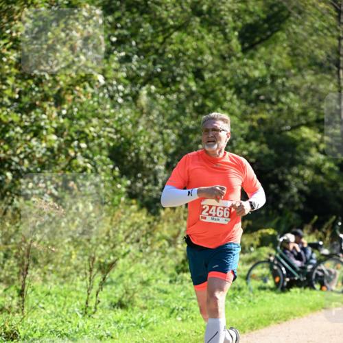 27.09.2026 - 35. Volkslauf durch das schöne Alstertal Dr. Thomas Lammeyer http://msf.ph/oto/10577528 27.09.2026 11:53:33 Laufen 2466 meine-sportfotos.de