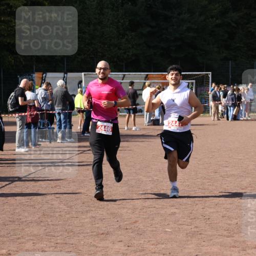 27.09.2026 - 35. Volkslauf durch das schöne Alstertal Strokosch-Dieckow http://msf.ph/oto/10577529 27.09.2026 12:42:46 Ziel 2446, 2447 meine-sportfotos.de