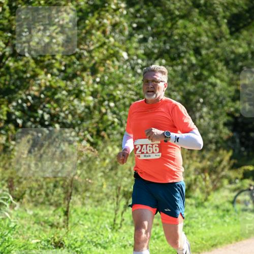 27.09.2026 - 35. Volkslauf durch das schöne Alstertal Dr. Thomas Lammeyer http://msf.ph/oto/10577533 27.09.2026 11:53:33 Laufen 2466 meine-sportfotos.de