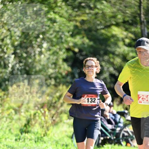 27.09.2026 - 35. Volkslauf durch das schöne Alstertal Dr. Thomas Lammeyer http://msf.ph/oto/10577538 27.09.2026 11:53:42 Laufen 132, 250 meine-sportfotos.de