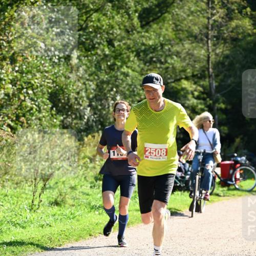 27.09.2026 - 35. Volkslauf durch das schöne Alstertal Dr. Thomas Lammeyer http://msf.ph/oto/10577541 27.09.2026 11:53:43 Laufen 1, 2508 meine-sportfotos.de