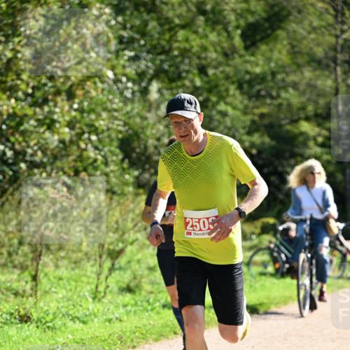 27.09.2026 - 35. Volkslauf durch das schöne Alstertal Dr. Thomas Lammeyer http://msf.ph/oto/10577546 27.09.2026 11:53:43 Laufen 2509 meine-sportfotos.de