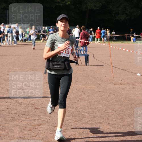 27.09.2026 - 35. Volkslauf durch das schöne Alstertal Strokosch-Dieckow http://msf.ph/oto/10577569 27.09.2026 12:32:16 Ziel 1087, 2008, 2388 meine-sportfotos.de