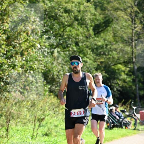 27.09.2026 - 35. Volkslauf durch das schöne Alstertal Dr. Thomas Lammeyer http://msf.ph/oto/10577575 27.09.2026 11:54:00 Laufen 2019, 1564 meine-sportfotos.de