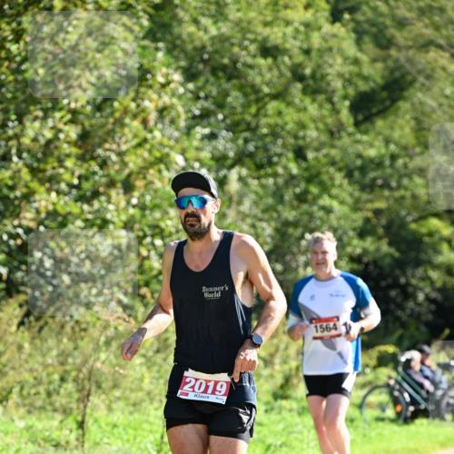 27.09.2026 - 35. Volkslauf durch das schöne Alstertal Dr. Thomas Lammeyer http://msf.ph/oto/10577579 27.09.2026 11:54:01 Laufen 2019, 1564 meine-sportfotos.de