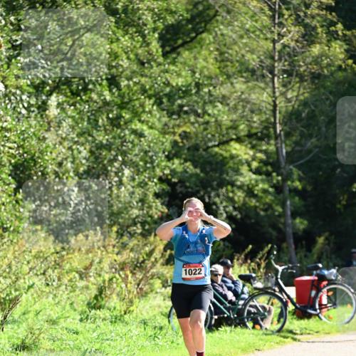 27.09.2026 - 35. Volkslauf durch das schöne Alstertal Dr. Thomas Lammeyer http://msf.ph/oto/10577606 27.09.2026 11:54:30 Laufen 1022 meine-sportfotos.de