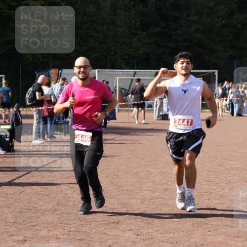 27.09.2026 - 35. Volkslauf durch das schöne Alstertal Strokosch-Dieckow http://msf.ph/oto/10577622 27.09.2026 12:42:47 Ziel 2446, 2447 meine-sportfotos.de