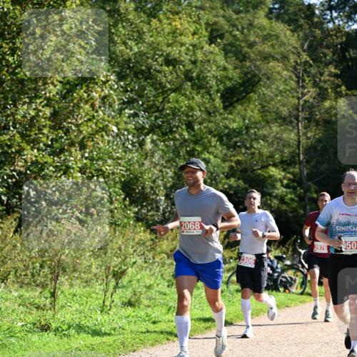 27.09.2026 - 35. Volkslauf durch das schöne Alstertal Dr. Thomas Lammeyer http://msf.ph/oto/10577656 27.09.2026 11:54:44 Laufen 2068, 2976, 50 meine-sportfotos.de