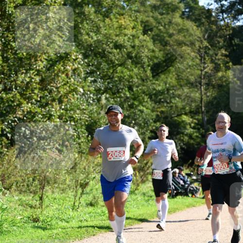 27.09.2026 - 35. Volkslauf durch das schöne Alstertal Dr. Thomas Lammeyer http://msf.ph/oto/10577659 27.09.2026 11:54:44 Laufen 2068, 2306, 2050, 10000 meine-sportfotos.de