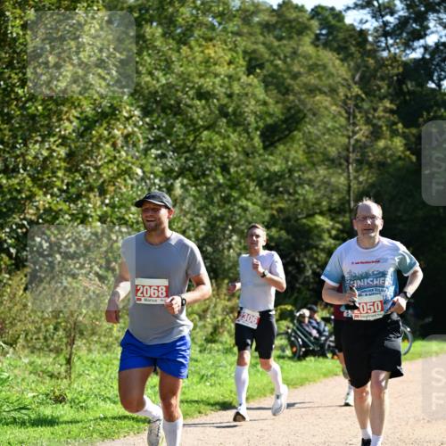 27.09.2026 - 35. Volkslauf durch das schöne Alstertal Dr. Thomas Lammeyer http://msf.ph/oto/10577661 27.09.2026 11:54:45 Laufen 2068, 2306, 21, 20, 050 meine-sportfotos.de