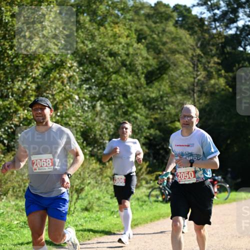 27.09.2026 - 35. Volkslauf durch das schöne Alstertal Dr. Thomas Lammeyer http://msf.ph/oto/10577665 27.09.2026 11:54:45 Laufen 26, 2068, 2306, 2050, 0 meine-sportfotos.de