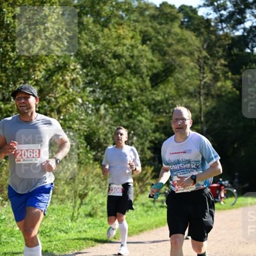 27.09.2026 - 35. Volkslauf durch das schöne Alstertal Dr. Thomas Lammeyer http://msf.ph/oto/10577666 27.09.2026 11:54:45 Laufen 2068, 2, 026, 2306 meine-sportfotos.de