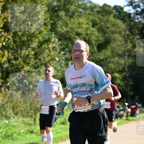 27.09.2026 - 35. Volkslauf durch das schöne Alstertal Dr. Thomas Lammeyer http://msf.ph/oto/10577673 27.09.2026 11:54:46 Laufen 226, 2, 40, 306, 000 meine-sportfotos.de