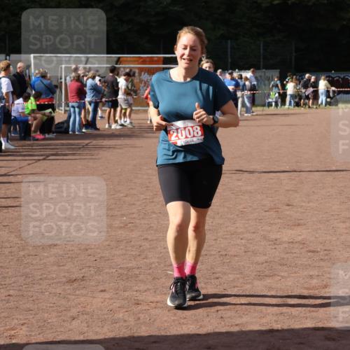 27.09.2026 - 35. Volkslauf durch das schöne Alstertal Strokosch-Dieckow http://msf.ph/oto/10577677 27.09.2026 12:32:23 Ziel 2008, 2361 meine-sportfotos.de