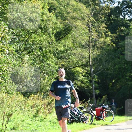27.09.2026 - 35. Volkslauf durch das schöne Alstertal Dr. Thomas Lammeyer http://msf.ph/oto/10577716 27.09.2026 11:55:07 Laufen  meine-sportfotos.de