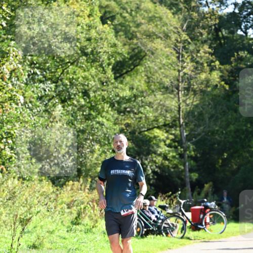 27.09.2026 - 35. Volkslauf durch das schöne Alstertal Dr. Thomas Lammeyer http://msf.ph/oto/10577717 27.09.2026 11:55:07 Laufen  meine-sportfotos.de