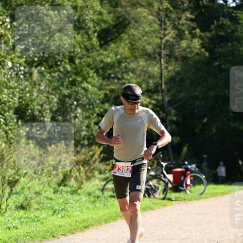 27.09.2026 - 35. Volkslauf durch das schöne Alstertal Dr. Thomas Lammeyer http://msf.ph/oto/10577773 27.09.2026 11:55:20 Laufen 2382 meine-sportfotos.de